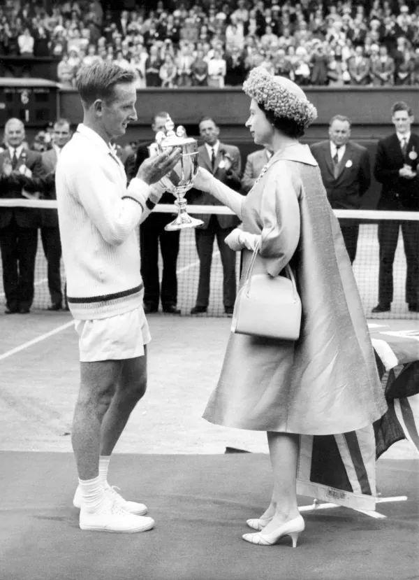 阵容结构的 阵容结构的